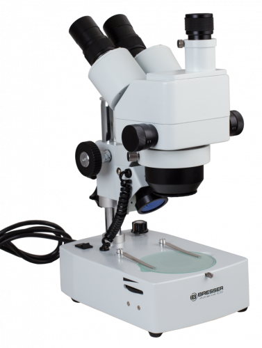 8d26ebcb-cf36-11ef-9d2e-000c29e1040d